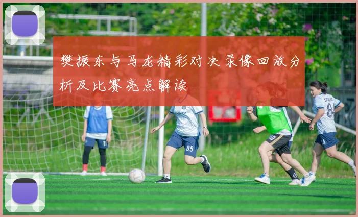 樊振东与马龙精彩对决录像回放分析及比赛亮点解读