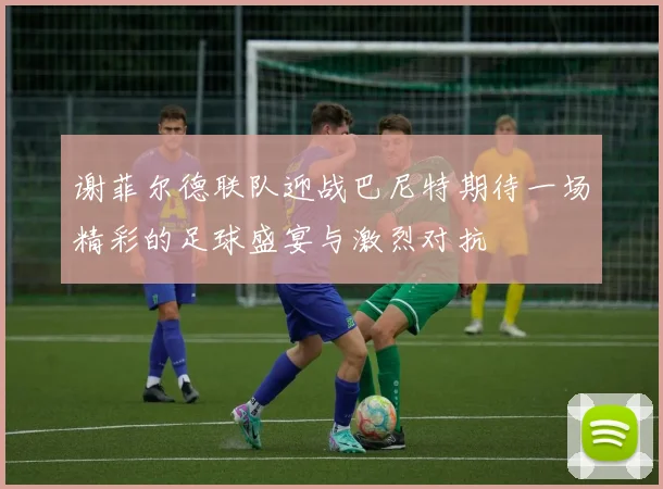 谢菲尔德联队迎战巴尼特期待一场精彩的足球盛宴与激烈对抗