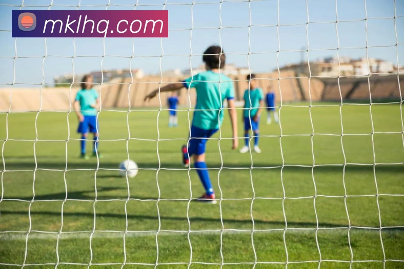 彩神vll平台生态图